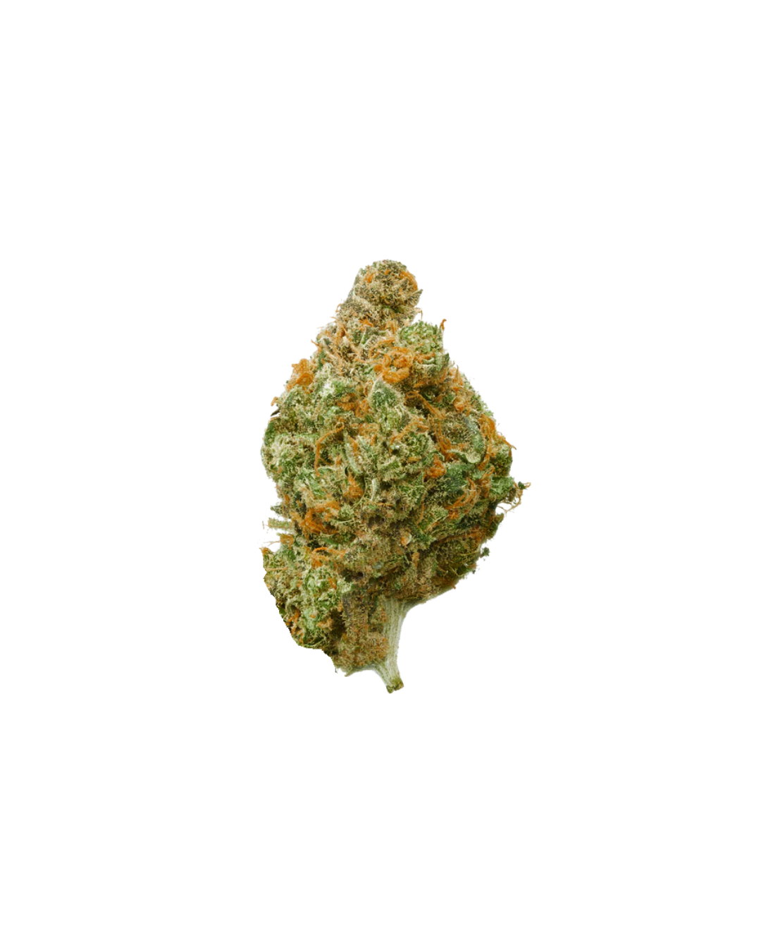 Blueberry Muffin