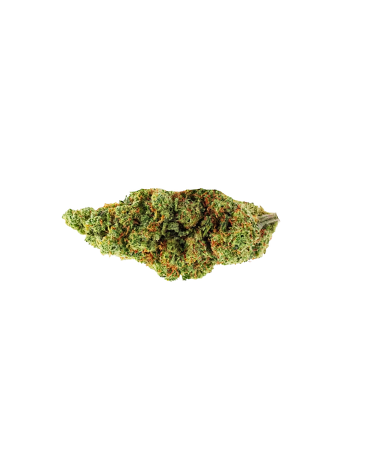 Special Amnesia US
