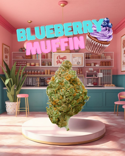 Blueberry Muffin