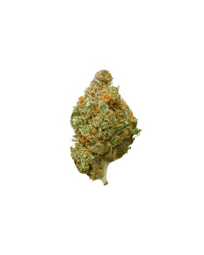 Blueberry Muffin
