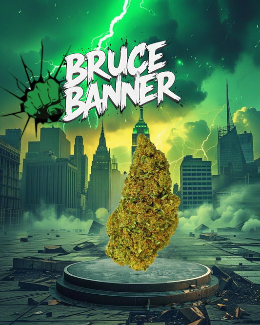 Bruce Banner