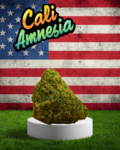 Cali Amnesia
