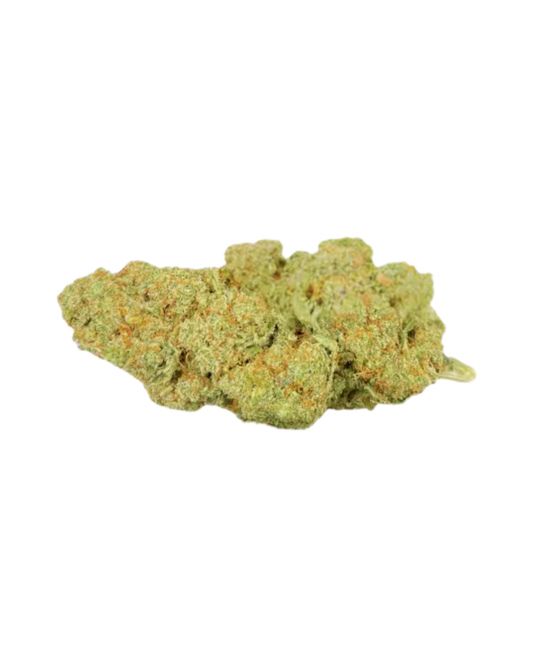 Special Alien Gelato