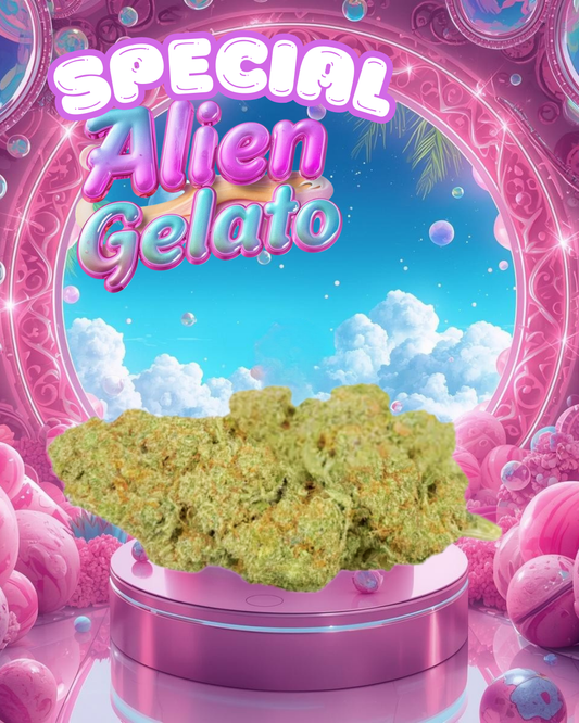 Special Alien Gelato