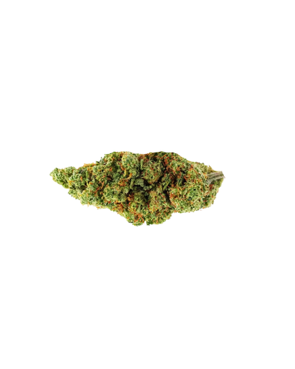 Special Amnesia US